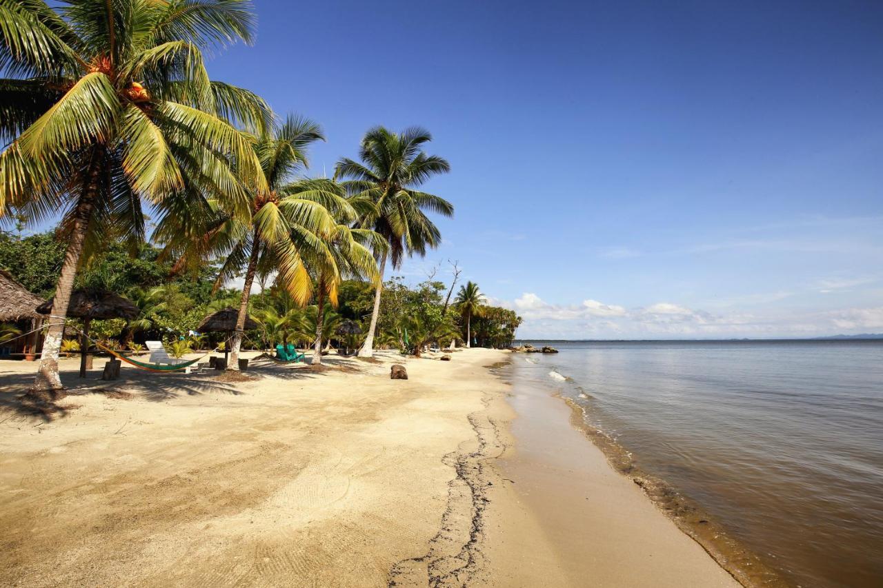 Villa Caribe Lívingston المظهر الخارجي الصورة